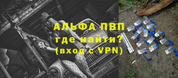 гашик Михайлов