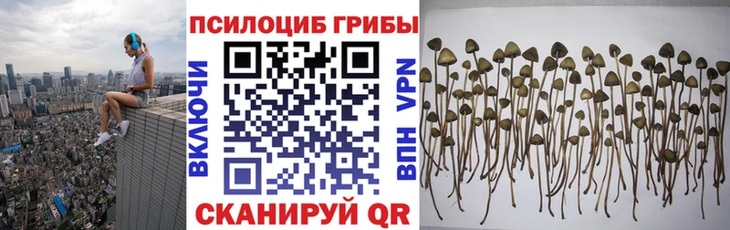 закладки  гидра онион  Псилоцибиновые грибы GOLDEN TEACHER  Орехово-Зуево 